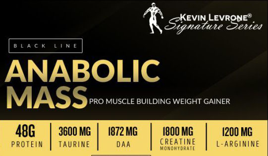 آنابولیک گینر مس کوین لورون Kevin Levrone ANABOLIC Mass 8 مکمل آنابولیک مس کوین لورون