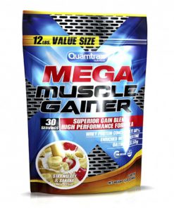 گینر مس کوامتراکس Quamtrax Mega Muscle Gainer