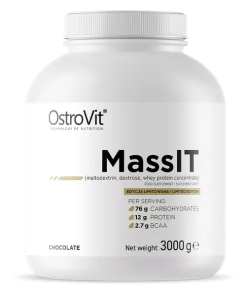 مس ای تی استرویت OstroVit Mass IT