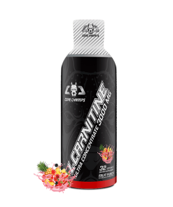 ال کارنیتین 3000 کور چمپس CORE CHAMPS L-CARNITINE 3000