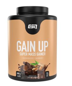 گین آپ ای اس ان ESN Gain UP