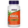 عصاره چای سبز ناو Now EGCG