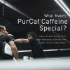 کافئین خالص کیجد KAGED Purcaf Caffeine