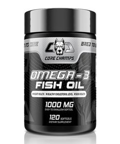 امگا 3 کور چمپس 120 عدد Core Champs Omega-3 Fish Oil