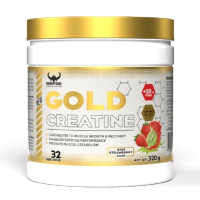 گلد کراتین وایکینگ فورس VIKING GOLD CREATINE 1 گلد کراتین وایکینگ فورس VIKING GOLD CREATINE