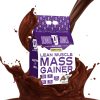 ماسل مس گینر دنیس جمیز 4 ماسل مس گینر پل ناتریشن Dennis James Signature Series Lean Muscle Mass Gainer