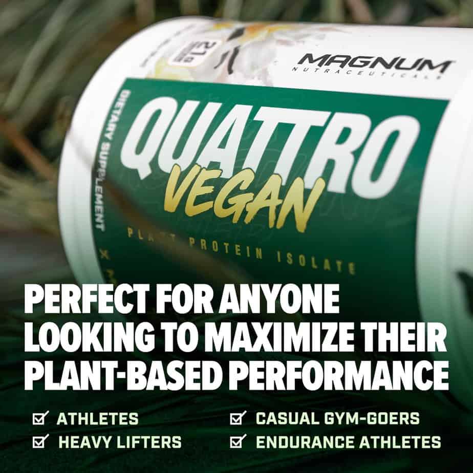 پروتئین گیاهی مگنوم کواترو Magnum Quattro Vegan 2 پروتئین گیاهی مگنوم کواترو Magnum Quattro Vegan
