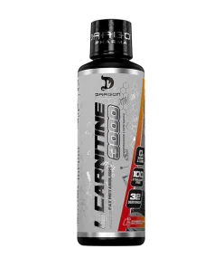 ال کارنیتین دراگون فارما  DRSGON PHARMA L-CARNITINE 3000