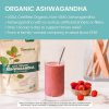 پودر آشواگاندا ارگانیک هیمالیا Himalaya Organic Ashwagandha