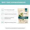 پودر آشواگاندا ارگانیک هیمالیا Himalaya Organic Ashwagandha