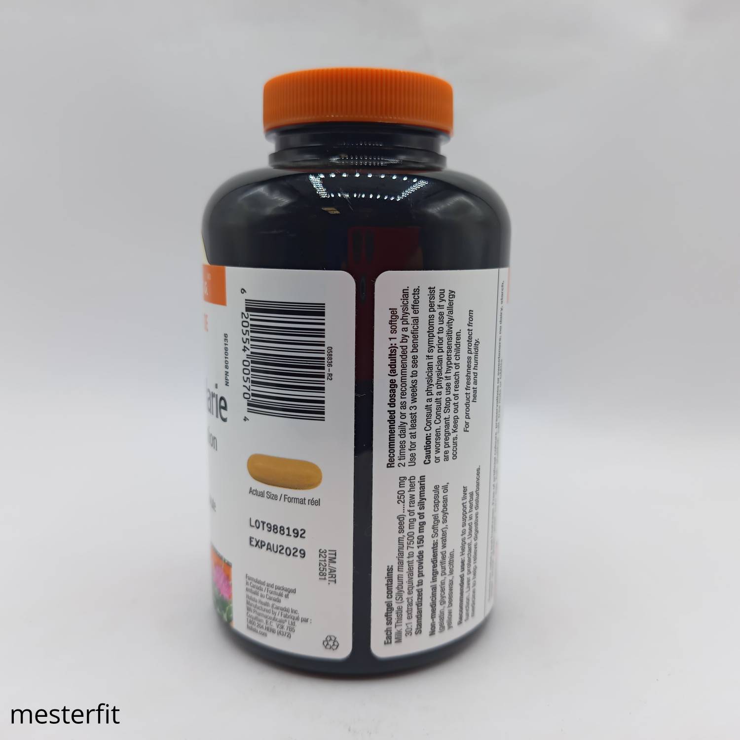 خار مریم هولیستا 240 عدد Holista Milk Thistle 7500mg 4 خار مریم هولیستا 240 عدد Holista Milk Thistle 7500mg