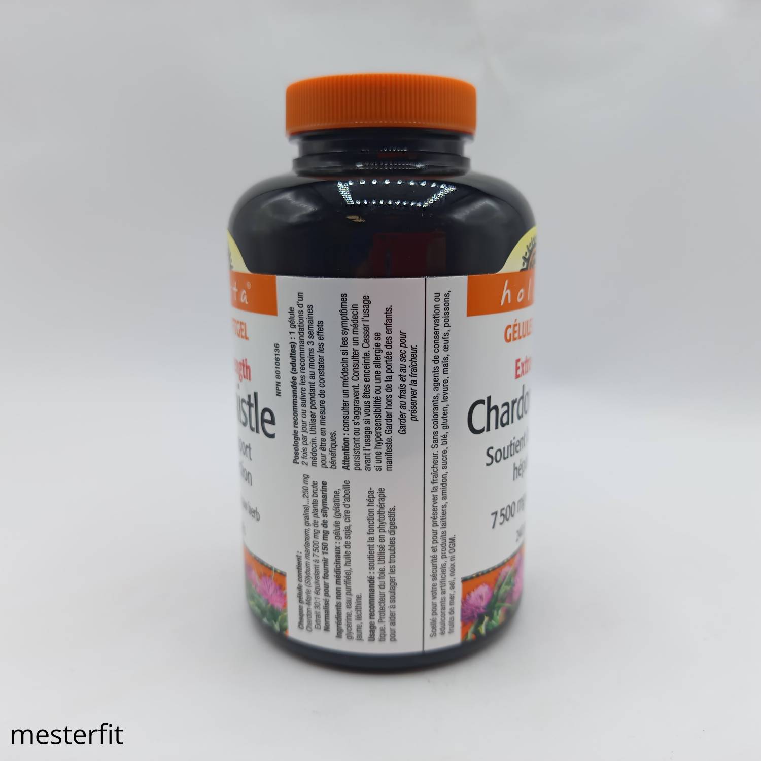خار مریم هولیستا 240 عدد Holista Milk Thistle 7500mg 3 خار مریم هولیستا 240 عدد Holista Milk Thistle 7500mg