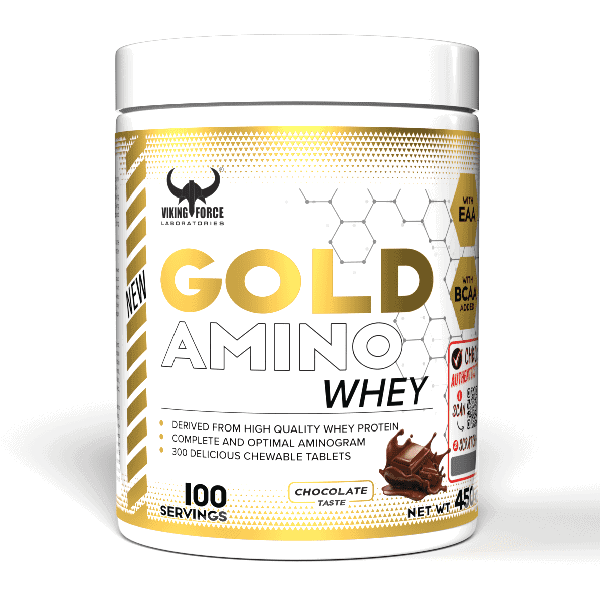 گلد آمینو وی وایکینگ VIKING GOLD AMINO WHEY 6 گلد آمینو وی وایکینگ VIKING GOLD AMINO WHEY