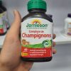ماشروم کمپلکس جمیسون Jamieson Mushroom Complex 5 ماشروم کمپلکس جمیسون Jamieson Mushroom Complex