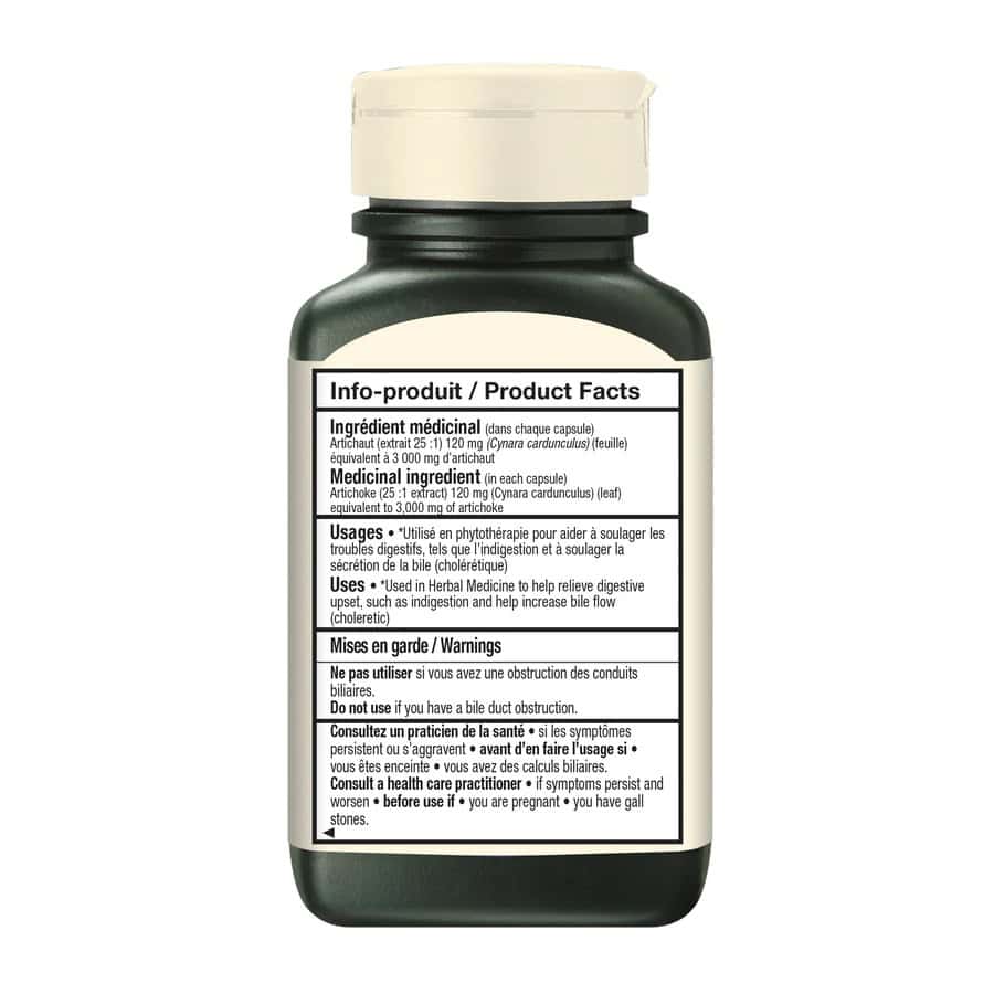 آرتیشو ادرین گگنون 60 عددی Adrien Gagnon Artichoke 2 آرتیشو ادرین گگنون 60 عددی