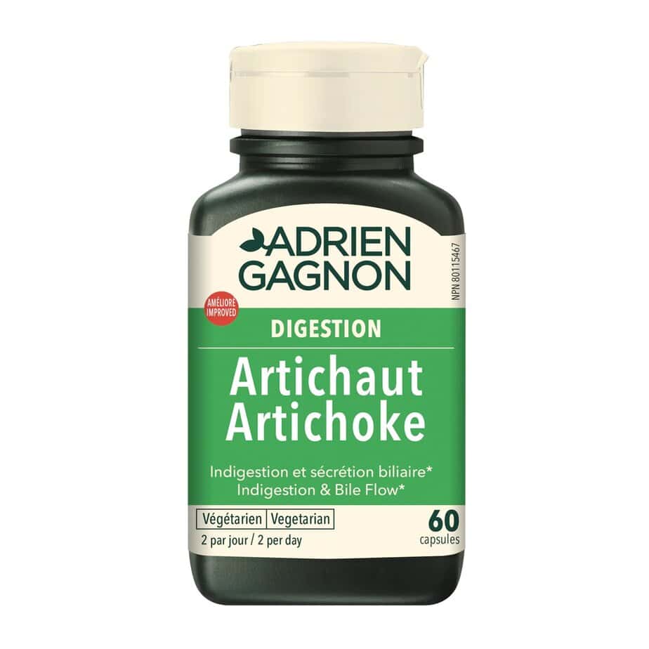 آرتیشو ادرین گگنون 60 عددی Adrien Gagnon Artichoke 1 آرتیشو ادرین گگنون 60 عددی