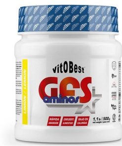 پودر آمینو GFS ویتو بست 500 گرم