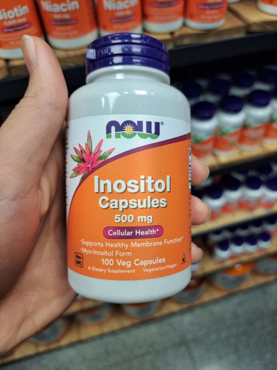 اینوزیتول 500 ناو 100 عددی NOW Inositol 500 mg Veg Capsules 2 اینوزیتول 500 ناو 100 عددی NOW Inositol 500 mg Veg Capsules