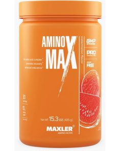 پودر آمینو مکس مکسلر Maxler Amino MaX