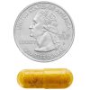 کپسول بربرین اسپرینگ والی Spring Valley Berberine 12 کپسول بربرین اسپرینگ والی Spring Valley Berberine