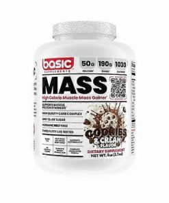 مکمل مس گینر بیسیک Basic Mass Gainer 2.7kg