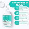 کپسول ناک ناترالی NUTRALI NAC+ 600MG 7 کپسول ناک ناترالی NUTRALI NAC+ 600MG