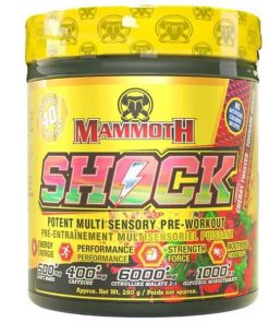 مکمل پمپ شوک ماموت 40 سروینگ Mammoth Shock