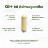 آشواگاندا KSM-66 دیل ساپلمنت DEAL SUPPLEMENT KSM66 Ashwagandha